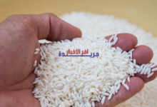 السوق لا يزال مستقراً.. أسعار الأرز الخام تتراجع قليلاً والتوقعات تشير إلى استقرار مستمر