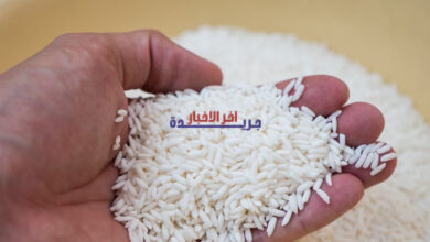 السوق لا يزال مستقراً.. أسعار الأرز الخام تتراجع قليلاً والتوقعات تشير إلى استقرار مستمر