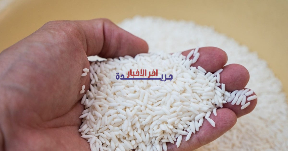 السوق مستقرة.. انخفاض طفيف في سعر الأرز الخام بمقدار 50 دونغ فيتنامي للكيلوغرام