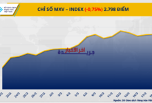 اللون الأحمر يسيطر على أسواق المعادن وتحركات قوية لأسعار البن لليوم الرابع على التوالي