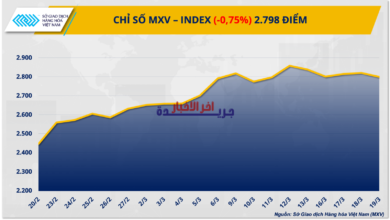 اللون الأحمر يسيطر على أسواق المعادن وتحركات قوية لأسعار البن لليوم الرابع على التوالي
