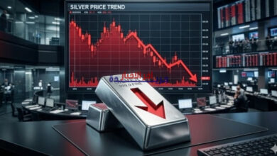 انخفاض حاد في أسعار الفضة العالمية يُثير مفاجأة بصندوق SLV ويخلف تساؤلات واسعة
