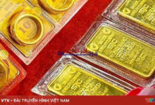 انخفاض قياسي في أسعار الذهب يتجاوز 5 ملايين دونغ فيتنامي لكل تايل.. هل تتجه نحو الانخفاض المستمر؟