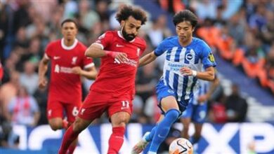 بالصور.. موعد مباراة برايتون ضد ليفربول في الدوري الإنجليزي الممتاز والقنوات الناقلة والتشكيل المتوقع