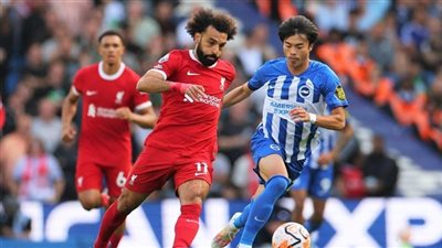 بالصور.. موعد مباراة برايتون ضد ليفربول في الدوري الإنجليزي الممتاز والقنوات الناقلة والتشكيل المتوقع