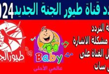 تحديث تردد قناة طيور الجنة 2026 وخطوات تنزيلها للأمهات في فلسطينيو48: الدليل الشامل