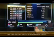 تحديث تردد قناة وناسة 2024 على نايل سات وعرب سات لضمان أعلى جودة مشاهدة