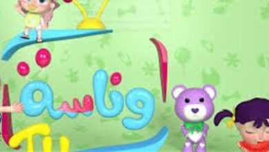 تحديث تردد قناة وناسة على النايل سات وعرب سات لعام 2026 لضمان أعلى جودة بث وترددات حديثة