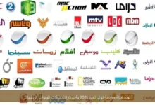 تحديث تردد قناة وناسة لولو كيدز 2026.. كل ما تحتاج معرفته لمتابعة أفضل قنوات الأطفال