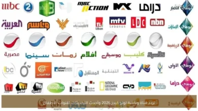 تحديث تردد قناة وناسة لولو كيدز 2026.. كل ما تحتاج معرفته لمتابعة أفضل قنوات الأطفال