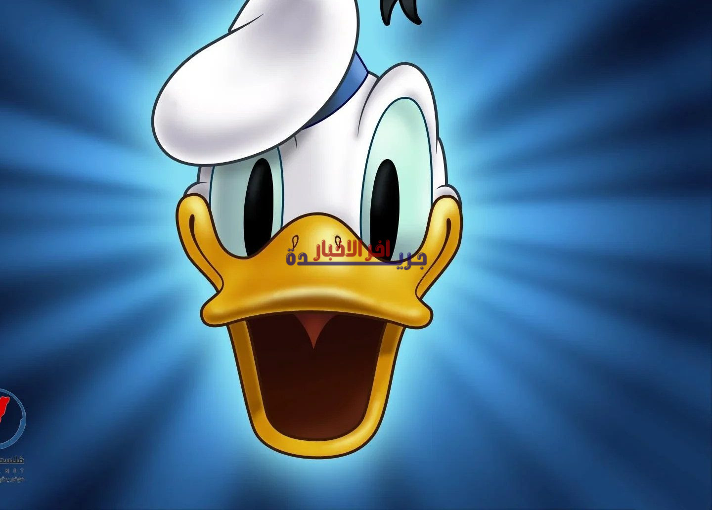 تردد قناة بطوط 2026 على النايل سات بجودة HD عالية يضمن لك مشاهدة مميزة وشهرة واسعة