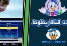 تردد قناة بطوط 2026 على نايل سات وعرب سات.. أفضل قناة كرتون للأطفال والعائلات العربية الآن!