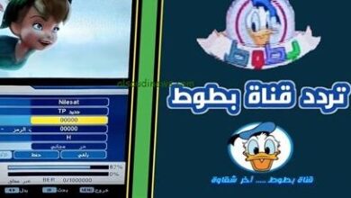 تردد قناة بطوط 2026 على نايل سات وعرب سات.. أفضل قناة كرتون للأطفال والعائلات العربية الآن!