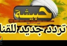 تردد قناة حبيشة للأفلام الأجنبية 2026 على نايل سات.. تعرف على أحدث إشارة ومميزات المشاهدة