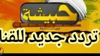 تردد قناة حبيشة للأفلام الأجنبية 2026 على نايل سات.. تعرف على أحدث إشارة ومميزات المشاهدة