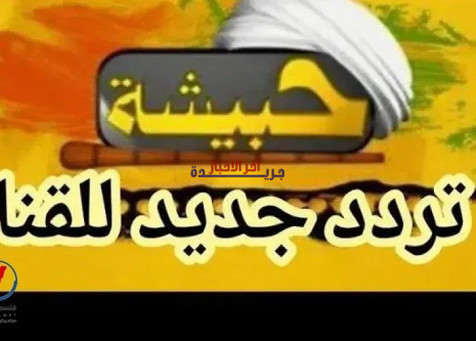 تردد قناة حبيشة للأفلام الأجنبية 2026 على نايل سات.. تعرف على أحدث إشارة ومميزات المشاهدة