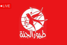 تردد قناة طيور الجنة 2026 الجديد على نايل سات وعرب سات.. كل ما تريد معرفته لضبط القناة بأسهل الطرق