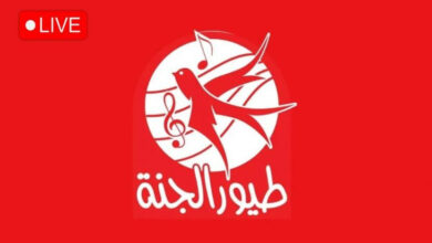 تردد قناة طيور الجنة 2026 الجديد على نايل سات وعرب سات.. كل ما تريد معرفته لضبط القناة بأسهل الطرق