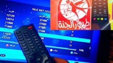 تردد قناة طيور الجنة الجديد على النايل سات لعام 2026 يضمن تشغيلًا مستمرًا للمحتوى الترفيهي للأطفال