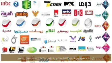 تردد قناة طيور بيبي الجديد 2026 يضمن أفضل برامج وأناشيد عيد الفطر مترجمة ومباشرة لآمان أطفالك