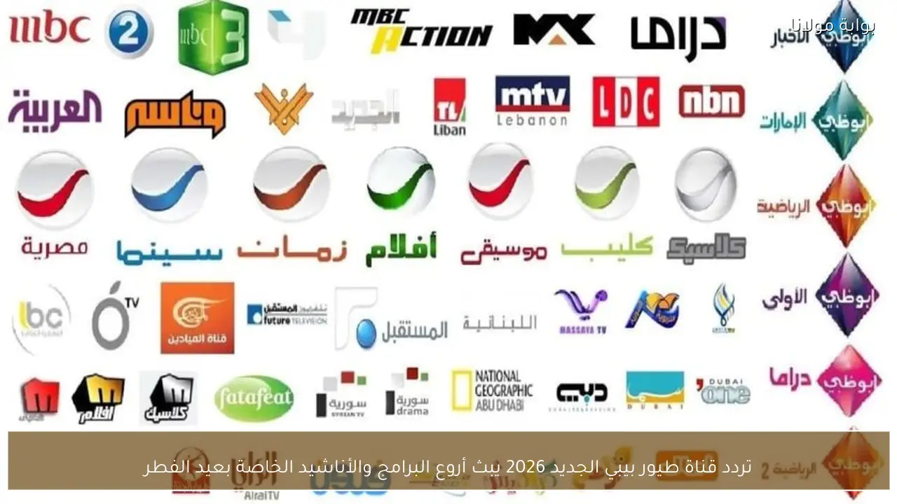 تردد قناة طيور بيبي الجديد 2026 يضمن أفضل برامج وأناشيد عيد الفطر مترجمة ومباشرة لآمان أطفالك