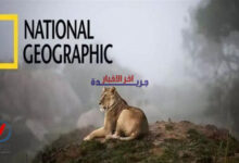 تردد قناة ناشيونال جيوغرافيك أبوظبي عالي الدقة عبر نايل سات وعرب سات يلفت الأنظار ويعزز تجربة المشاهدة