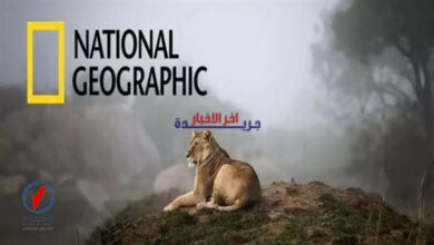 تردد قناة ناشيونال جيوغرافيك أبوظبي عالي الدقة عبر نايل سات وعرب سات يلفت الأنظار ويعزز تجربة المشاهدة