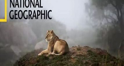 تردد قناة ناشيونال جيوغرامفك يفتح لك باب رحلة استكشافية مذهلة في عالم العلوم والعجائب