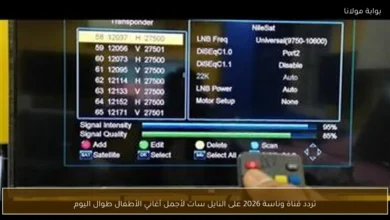 تردد قناة وناسة 2026 على النايل سات: أفضل أغاني الأطفال طوال اليوم تلامس قلوب الصغار