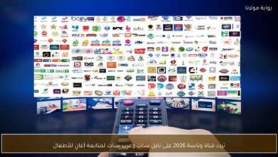 تردد قناة وناسة 2026 على نايل سات وعرب سات لعام 2024.. اكتشف أحدث إشارة لمشاهدة محتوى فلسطينيو48 بأسهل الطرق