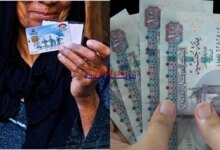 تعرف على 6 برامج معاشات للنساء غير العاملات في مصر: التفاصيل والشروط الشاملة التي يجب معرفتها