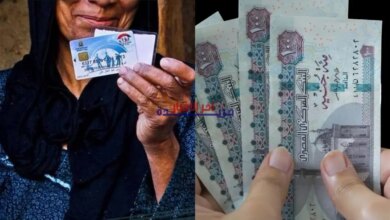 تعرف على 6 برامج معاشات للنساء غير العاملات في مصر: التفاصيل والشروط الشاملة التي يجب معرفتها