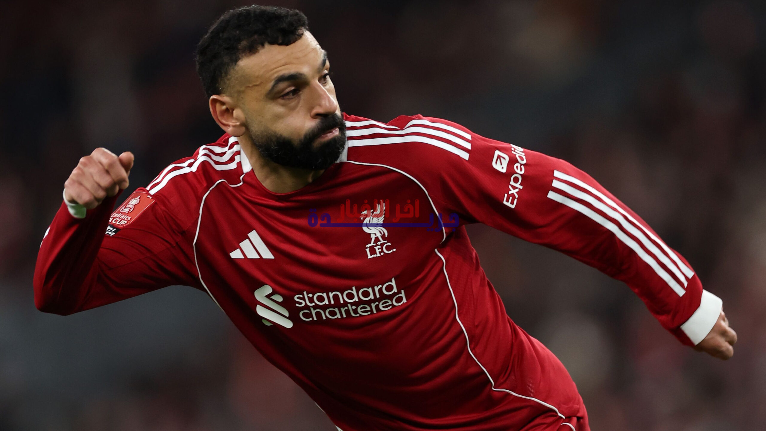 تعرف على القنوات الناقلة لمباراة برايتون وليفربول في الدوري الإنجليزي 2025-2026 وكيفية مشاهدتها مباشرة عبر الإنترنت