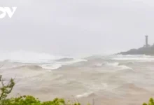 توقعات هيئة الأرصاد: ذروة الطقس الحار والعواصف والفيضانات المفاجئة في 2026 تهدد حياة الناس