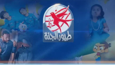 حصريًا: ترددات طيور الجنة الجديدة 2026 | الدليل الشامل لضبط النايل سات وعرب سات بشكل سهل وسريع