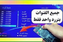 دليل شامل 2025 لضبط ترددات نايل سات وتنزيل القنوات بضغطة واحدة بسهولة — فلسطينيو48