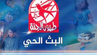 دليل شامل لتحديث تردد قناة طيور الجنة 2026 على نايل سات وعرب سات لضبط الإشارة بسهولة