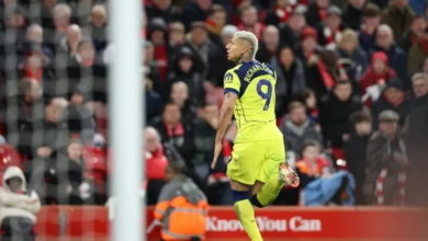 ريتشاريليسون ونيتو يعبران عن سعادتهما بتعادل توتنهام مع ليفربول في مباراة مثيرة