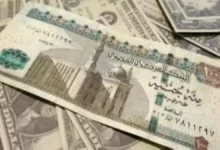 صدمه لعشاق السوق المالية: الريال السعودي يحقق أعلى مستوى في مصر.. هل تشتري الآن أم تنتظر فرصة العمر؟