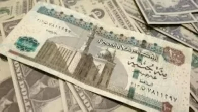 صدمه لعشاق السوق المالية: الريال السعودي يحقق أعلى مستوى في مصر.. هل تشتري الآن أم تنتظر فرصة العمر؟