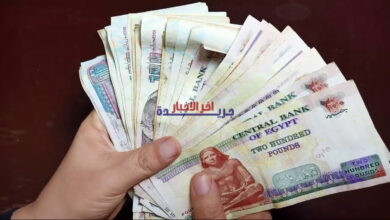 صدور قرار رسمي بصرف مستحقات أبريل 2026 يفرح ملايين المتقاعدين فورًا