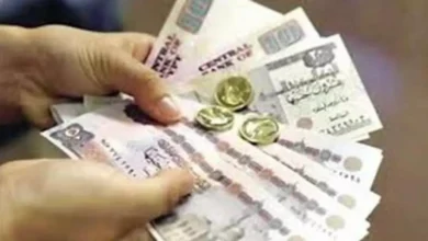 عاجل: الحكومة تعلن موعد صرف معاشات أبريل لـ 11.5 مليون مواطن قبل عيد الفطر لإسعاد الأسر