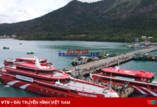 عبّارة ثانغ لونغ عالية السرعة تُزيد الرحلات وتخفض أسعار التذاكر على خط فونغ تاو بشكل مذهل