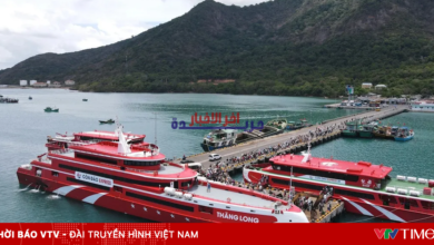 عبّارة ثانغ لونغ عالية السرعة تُزيد الرحلات وتخفض أسعار التذاكر على خط فونغ تاو بشكل مذهل