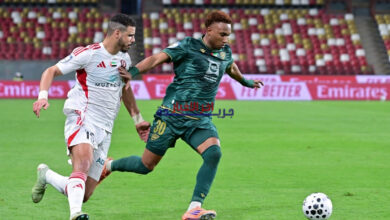 عقوبات انضباطية صارمة في الكرة الإماراتية ضد مدرب الجزيرة ولاعبي الوصل وشباب الأهلي: تفاصيل القرارات والتداعيات