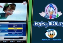 كيفية ضبط تردد قناة بطوط الجديد على نايل سات وعرب سات لمشاهدة محتوى ديزني للأطفال بأعلى جودة