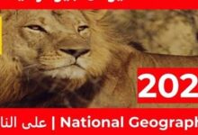 كيفية ضبط تردد قناة ناشيونال جيوغرافيك لاستكشاف العلوم من المنزل بسهولة وطرق مشاهدة فائقة الجودة