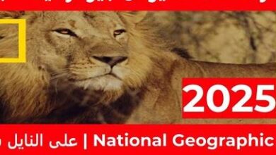 كيفية ضبط تردد قناة ناشيونال جيوغرافيك لاستكشاف العلوم من المنزل بسهولة وطرق مشاهدة فائقة الجودة