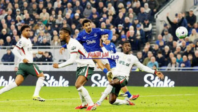 مفاجأة: برايتون وإيفرتون يعطلان طموحات ليفربول وتشيلسي في سباق الدوري | أخبار الخليج