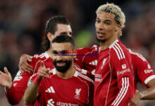 موعد مباراة برايتون وليفربول في الدوري الإنجليزي الممتاز 2024.. تعرف على القمة المنتظرة وترتيب الفريقين